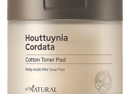 DAJAYEON  Houttuynia Cordata Cotton Pad, 60 Count, 1 Pack
