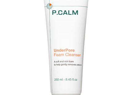 PICAM  Underpore Bateca Large Capacity Foam Cleansing 250ml, 1 Count