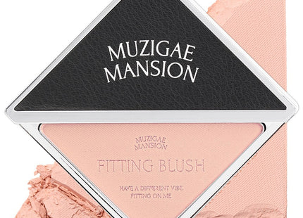 RAINBOW MANSION Fitting Blusher 04 VIBE 1ea