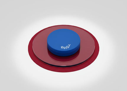 BIREDI Biredi Blue Sebum Powder 7g