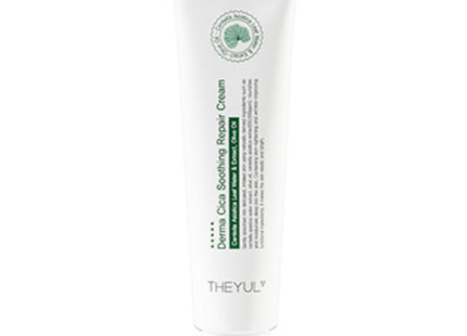 DERMA CICA Soothing Repair Moisture Cream