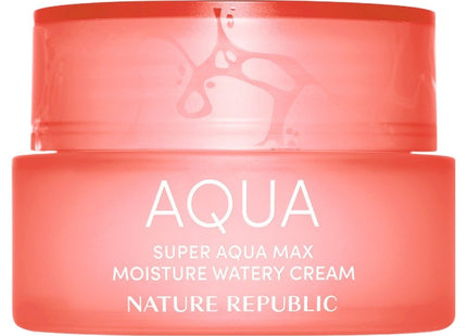 NATURE REPUBLIC  Super Aqua Max Moisture Cream Dry Type, 80ml, 1 Count
