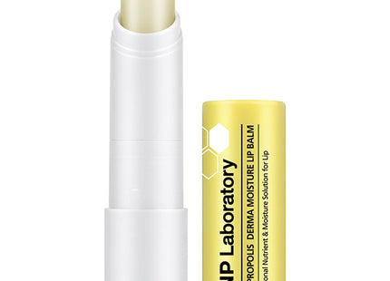CNP  Propolis Derma Moisture Lip Balm, 4g, 1 Count