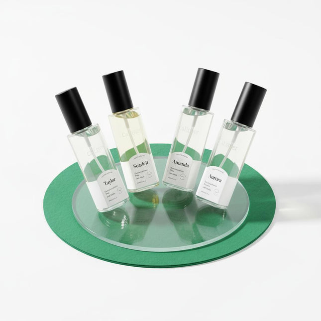 CELEVER Celever Body Spray 80ml