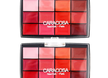 KARACOSA KARASA GLOWING POWDER COMPACT L-1 13g SET OF 2