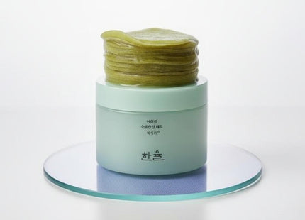 HANYUL True Care Mugwort Calming Pad